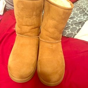 Ugg boots-Chestnut